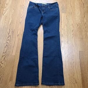 Banana Republic Bootcut 